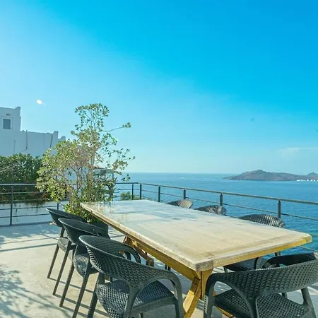 Ella Sea View Yalikavak Shared Pool Vilă
